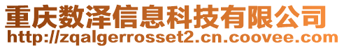 重慶數澤信息科技有限公司