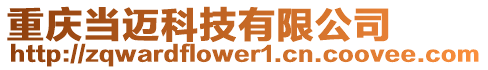 重慶當邁科技有限公司