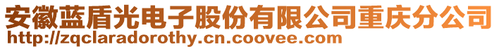 安徽藍(lán)盾光電子股份有限公司重慶分公司