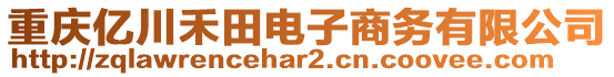 重慶億川禾田電子商務(wù)有限公司