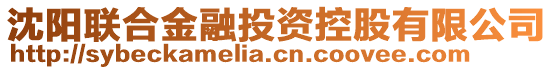 沈陽(yáng)聯(lián)合金融投資控股有限公司