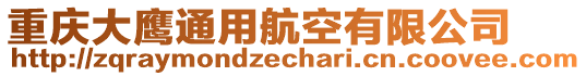 重慶大鷹通用航空有限公司