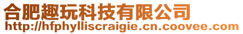 合肥趣玩科技有限公司