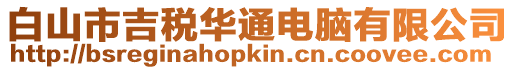 白山市吉稅華通電腦有限公司