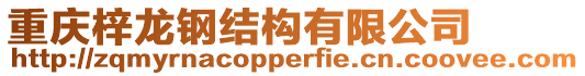 重慶梓龍鋼結構有限公司