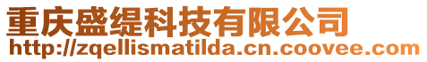 重慶盛緹科技有限公司