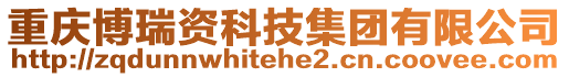 重慶博瑞資科技集團(tuán)有限公司