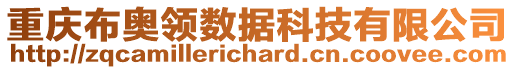 重慶布奧領數據科技有限公司