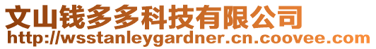 文山錢多多科技有限公司