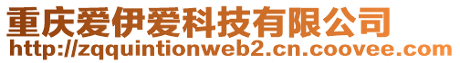 重庆爱伊爱科技有限公司