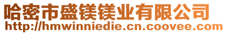 哈密市盛鎂鎂業(yè)有限公司