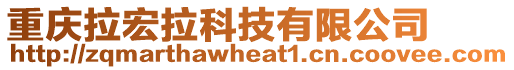 重慶拉宏拉科技有限公司