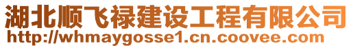 湖北順飛祿建設(shè)工程有限公司