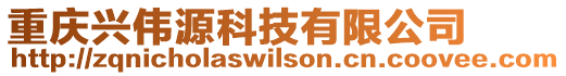 重慶興偉源科技有限公司
