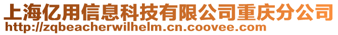 上海億用信息科技有限公司重慶分公司