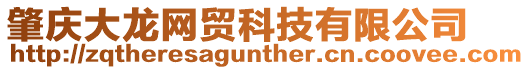 肇慶大龍網(wǎng)貿(mào)科技有限公司