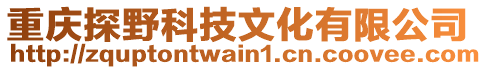 重慶探野科技文化有限公司