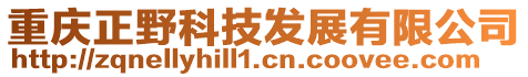 重慶正野科技發展有限公司