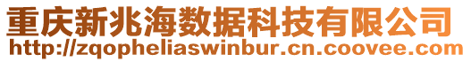 重慶新兆海數據科技有限公司