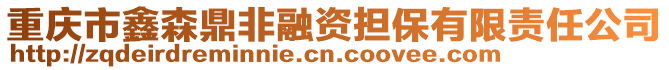 重慶市鑫森鼎非融資擔保有限責任公司