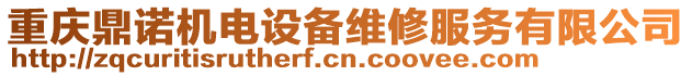 重慶鼎諾機電設備維修服務有限公司