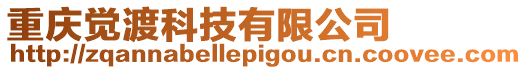 重慶覺渡科技有限公司
