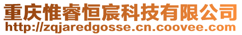 重慶惟睿恒宸科技有限公司