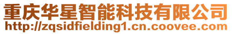 重慶華星智能科技有限公司