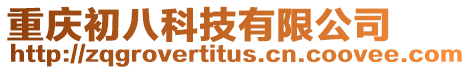 重慶初八科技有限公司