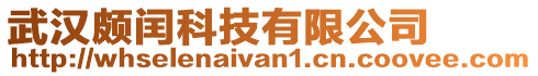 武漢頗閏科技有限公司