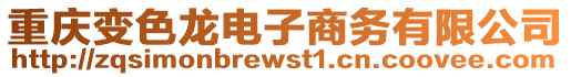 重慶變色龍電子商務有限公司