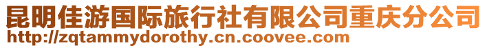 昆明佳游國(guó)際旅行社有限公司重慶分公司