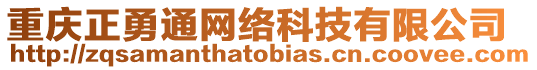 重慶正勇通網絡科技有限公司
