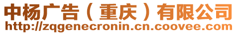 中楊廣告(重慶)有限公司