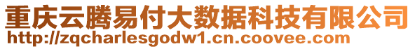 重慶云騰易付大數(shù)據(jù)科技有限公司