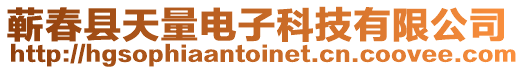 蘄春縣天量電子科技有限公司