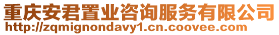 重慶安君置業咨詢服務有限公司