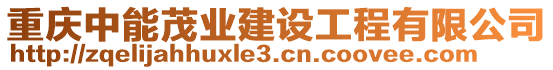 重慶中能茂業(yè)建設(shè)工程有限公司