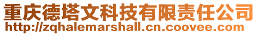 重慶德塔文科技有限責任公司