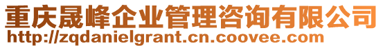 重慶晟峰企業(yè)管理咨詢有限公司