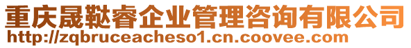 重慶晟韃睿企業(yè)管理咨詢(xún)有限公司