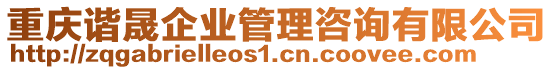 重慶諧晟企業(yè)管理咨詢有限公司