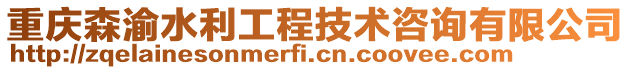 重慶森渝水利工程技術(shù)咨詢有限公司