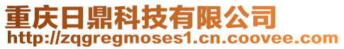 重慶日鼎科技有限公司