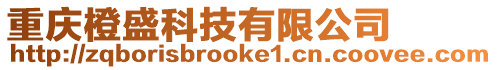 重慶橙盛科技有限公司
