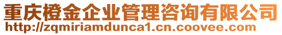 重慶橙金企業(yè)管理咨詢有限公司