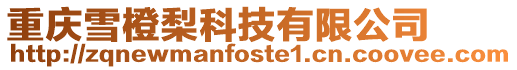 重慶雪橙梨科技有限公司
