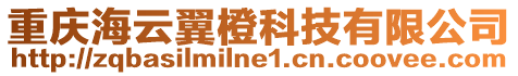 重慶海云翼橙科技有限公司