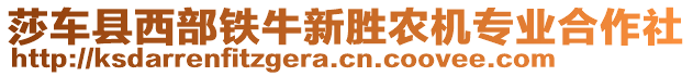 莎車(chē)縣西部鐵牛新勝農(nóng)機(jī)專(zhuān)業(yè)合作社