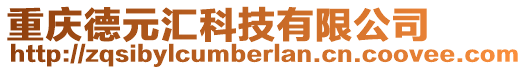 重慶德元匯科技有限公司